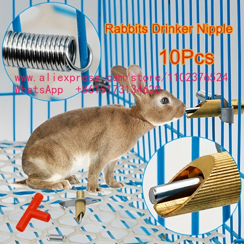Automatic Pet Feeder - 10Pcs Rabbits Drinker Nipple Automatic Feeding