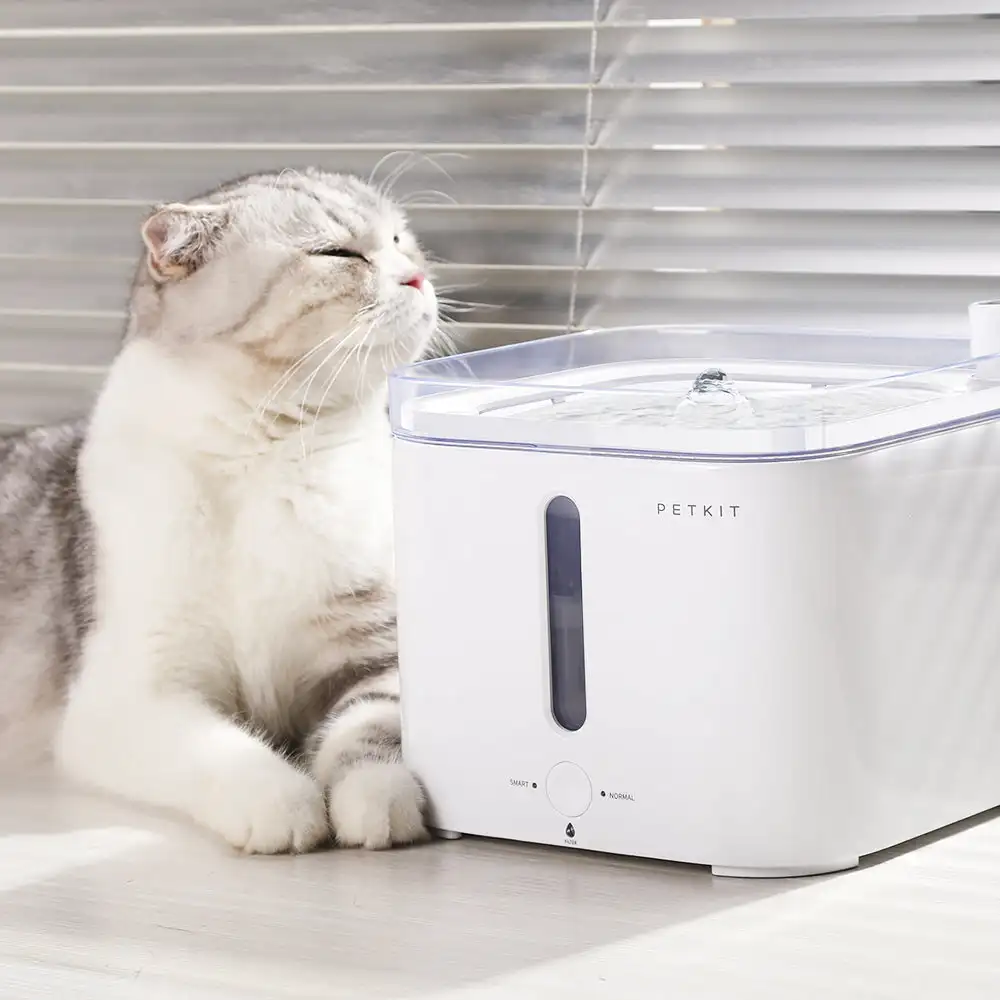 CANBOUN EVERSWEET Series Pet S - Automatic Pet Feeder ulasan dan harga