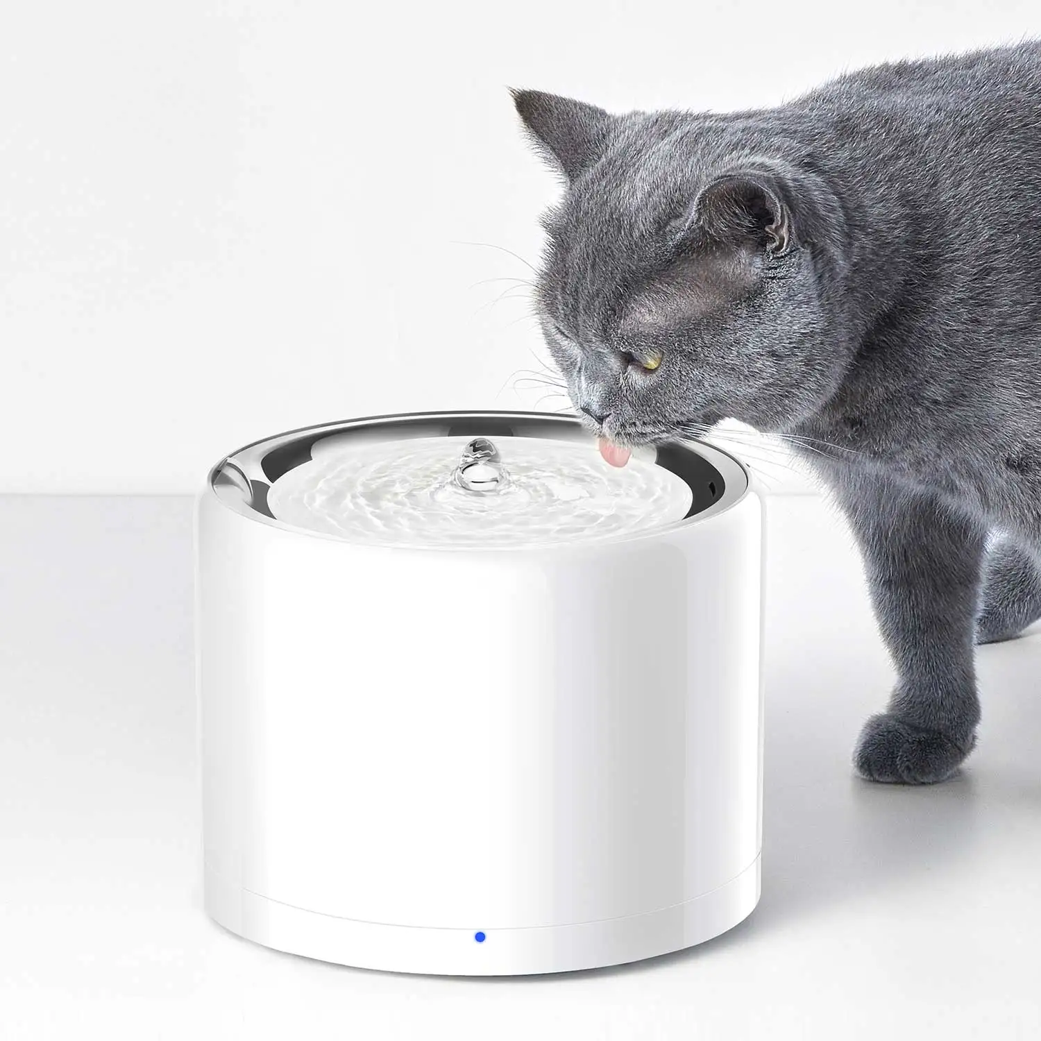 CANBOUN EVERSWEET Series Pet S - Automatic Pet Feeder ulasan dan harga