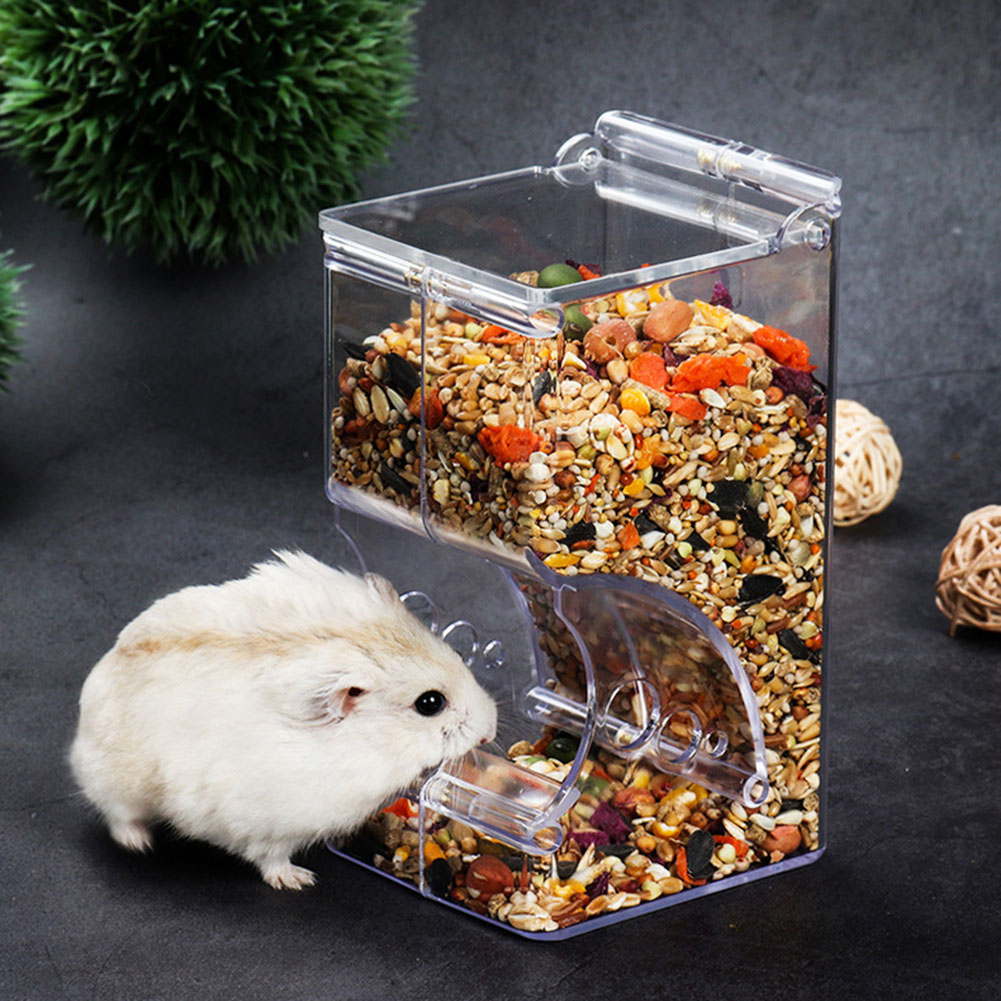  2-1PCS Cute Hamster Samll An - Automatic Pet Feeder ulasan dan harga