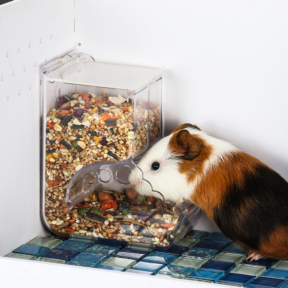  2-1PCS Cute Hamster Samll An - Automatic Pet Feeder ulasan dan harga