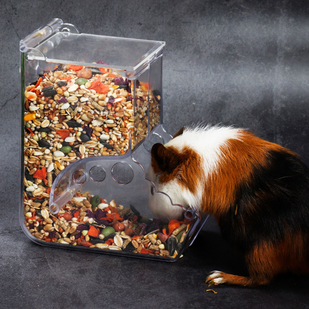  2-1PCS Cute Hamster Samll An - Automatic Pet Feeder ulasan dan harga