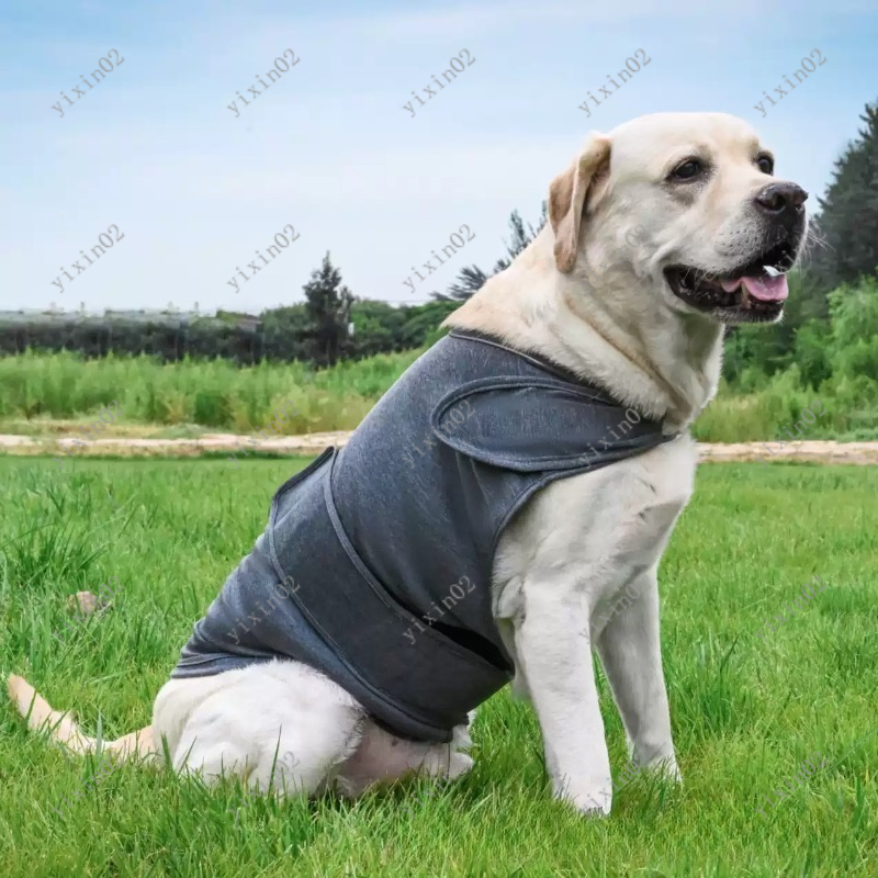 Classic Breathable Dog Anxiety - Dog Anxiety Vest ulasan dan harga