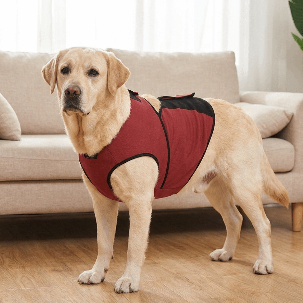 Practical Breathable Dog Calmi - Dog Anxiety Vest ulasan dan harga