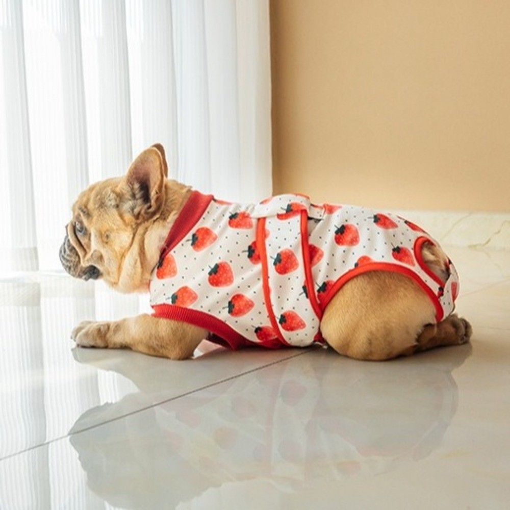 Universal Breathable Dog Recov - Dog Anxiety Vest ulasan dan harga