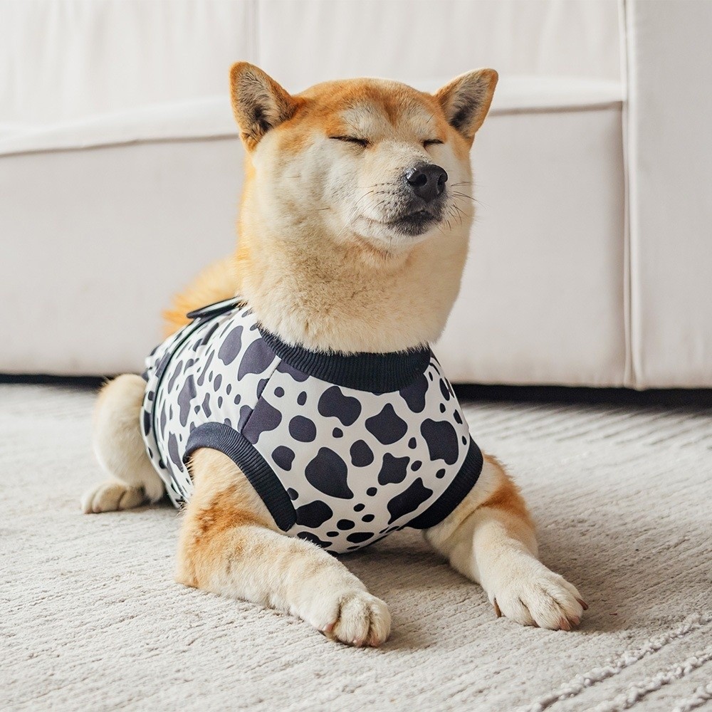 Universal Breathable Dog Recov - Dog Anxiety Vest ulasan dan harga