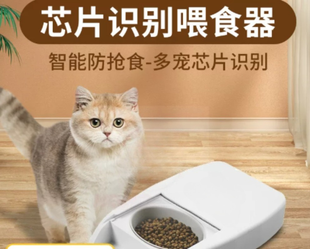 Smart Automatic Pet Feeder Ind - Automatic Pet Feeder ulasan dan harga