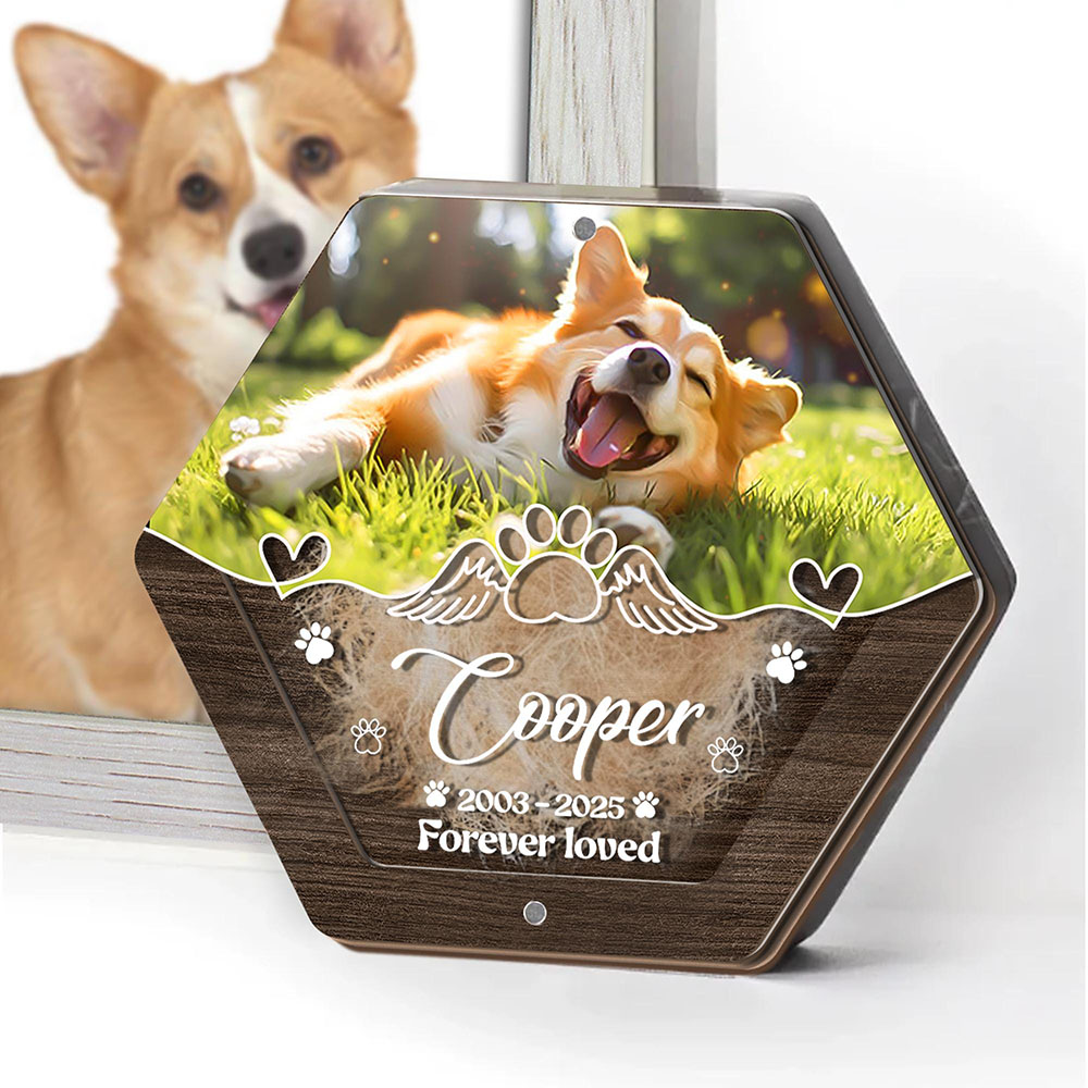 Personalized Name Wooden Carvi - Pet Supplies Stores ulasan dan harga