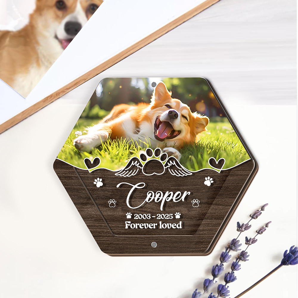 Personalized Name Wooden Carvi - Pet Supplies Stores ulasan dan harga