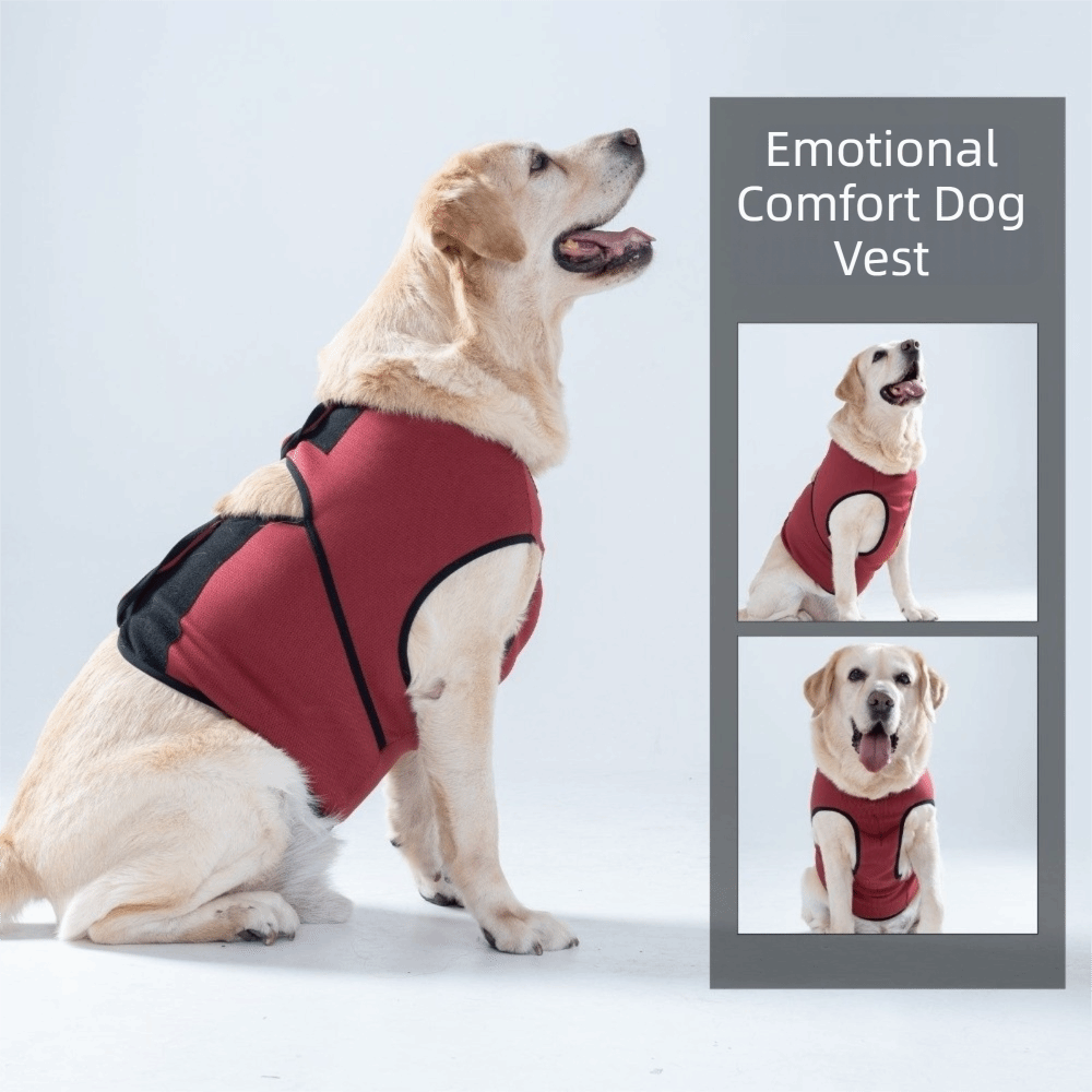 Breathable Dog Calming Vest Ad - Dog Anxiety Vest ulasan dan harga