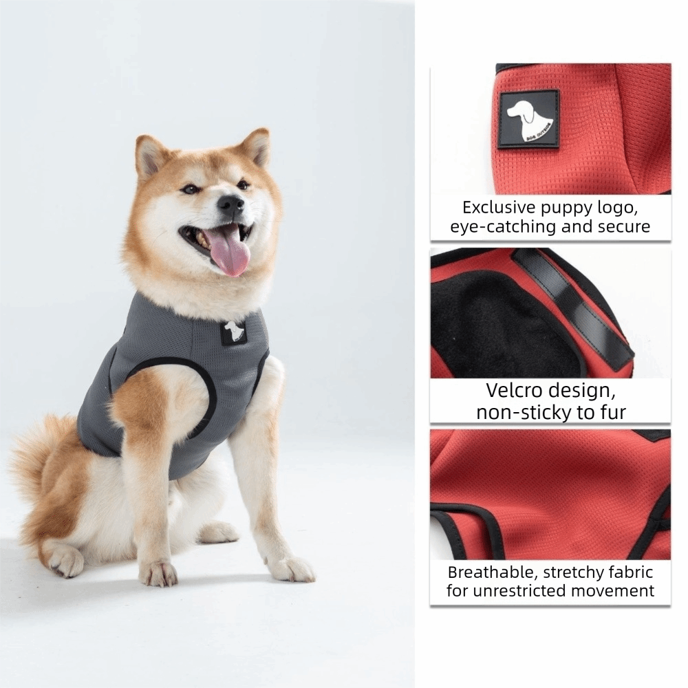 Pet Comfort Clothes Breathable - Dog Anxiety Vest ulasan dan harga