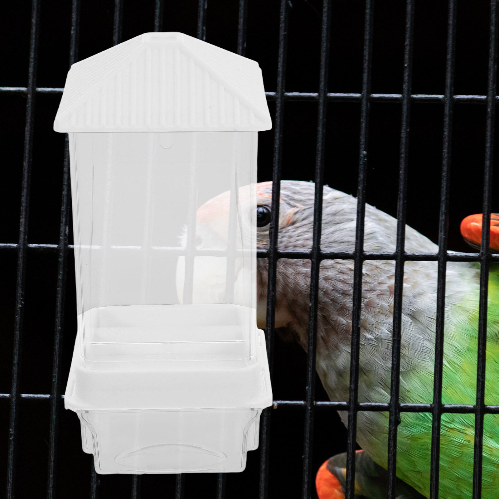 Automatic Bird Feeder Plastic  - Automatic Pet Feeder ulasan dan harga