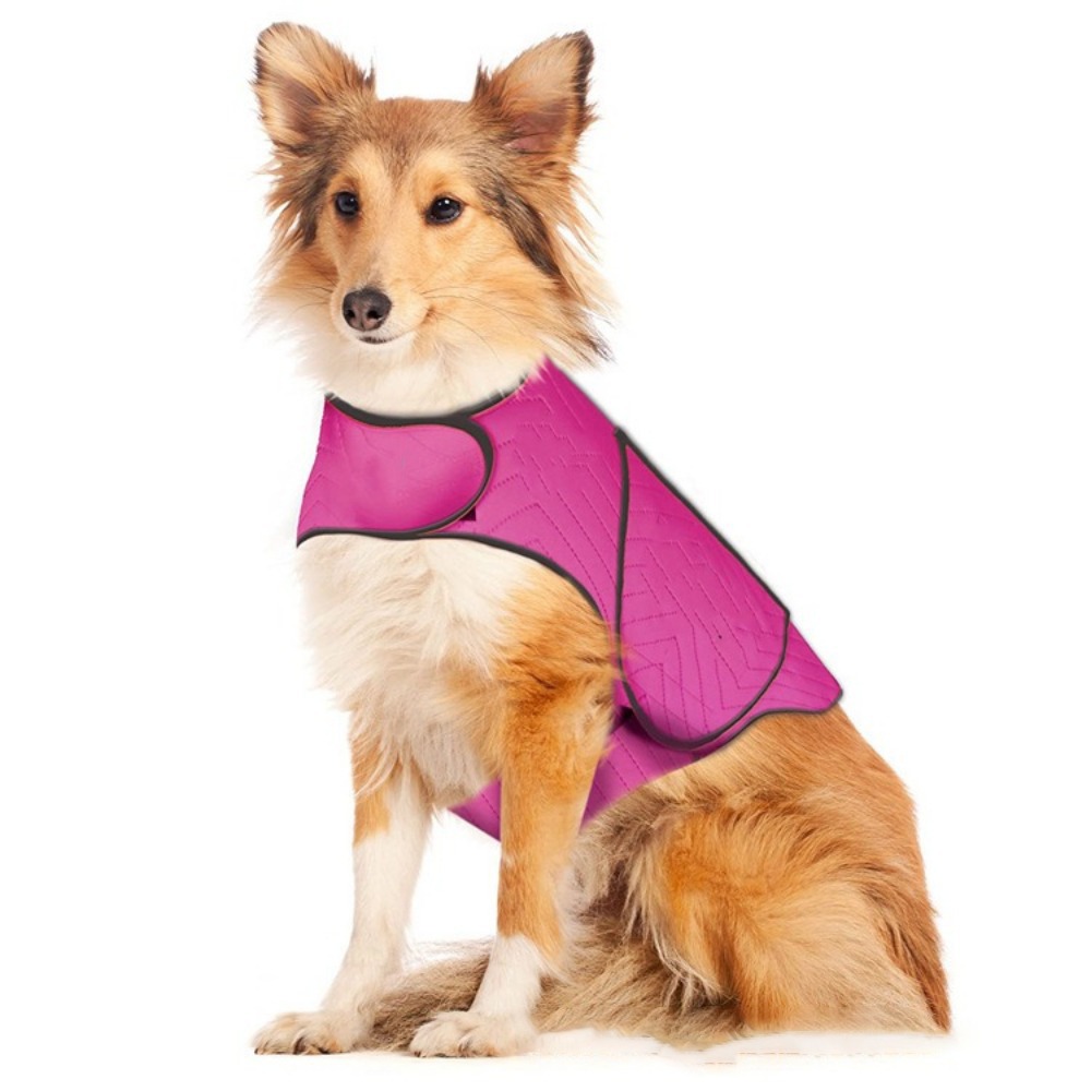 Practical Elastic Dog Anxiety  - Dog Anxiety Vest ulasan dan harga