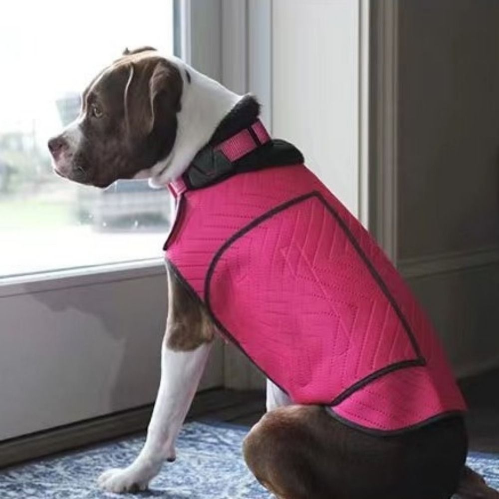 Practical Elastic Dog Anxiety  - Dog Anxiety Vest ulasan dan harga