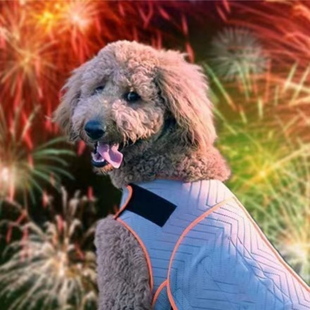 Practical Elastic Dog Anxiety  - Dog Anxiety Vest ulasan dan harga