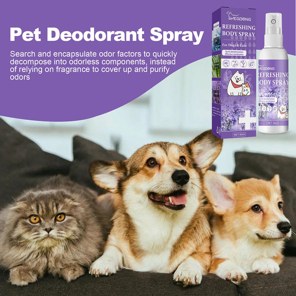 Dog Deodorizer Spray Feces Cle - Pet Supplies In Store ulasan dan harga